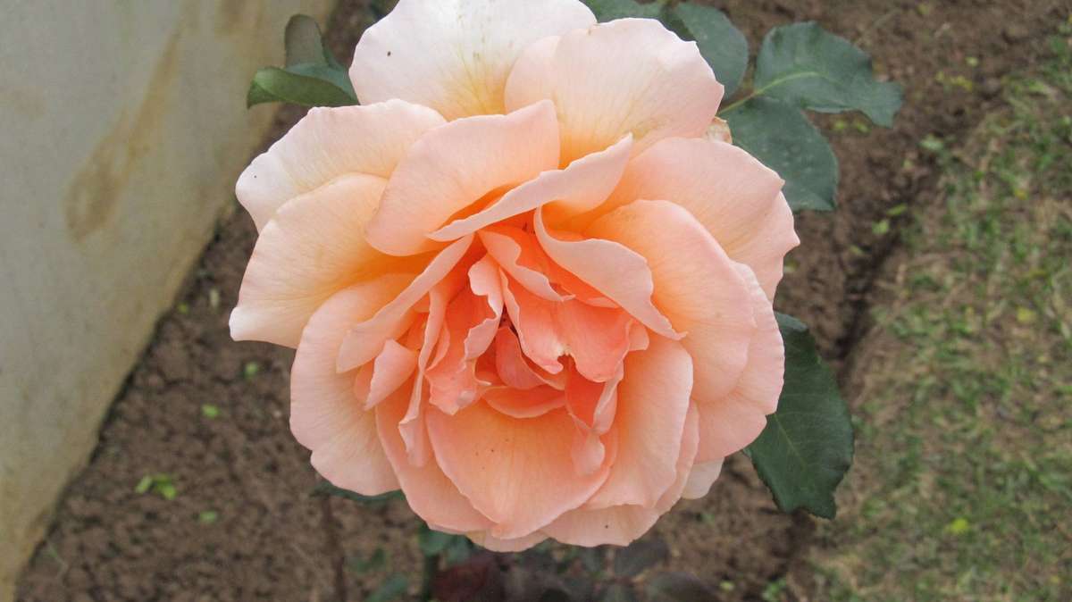 CANON POWER SHOT 130IS CAMERA