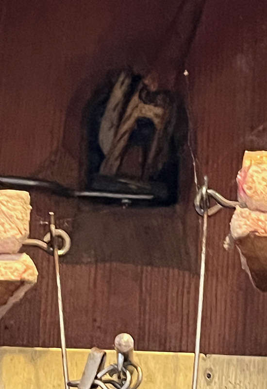 RARE Antique G.H.S. Cuckoo Clock circa 1900 for repairs or spares