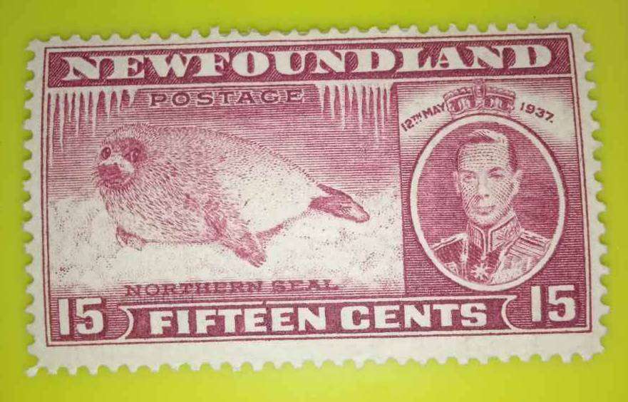 Newfoundland Stamps Complete Set