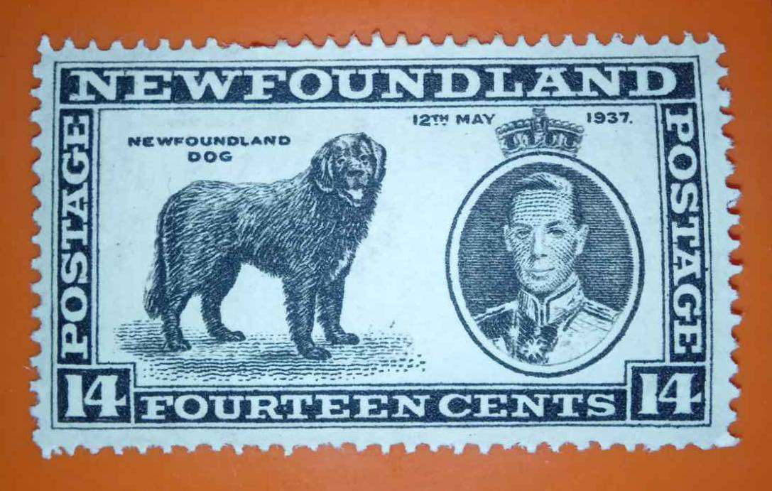 Newfoundland Stamps Complete Set