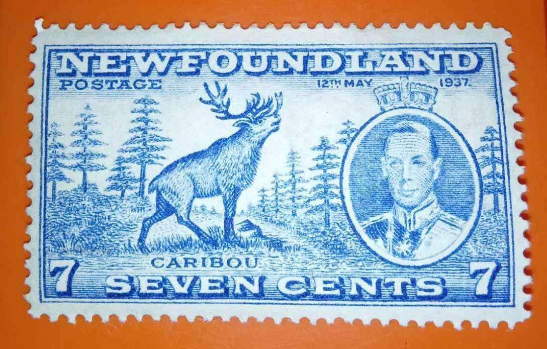 Newfoundland Stamps Complete Set