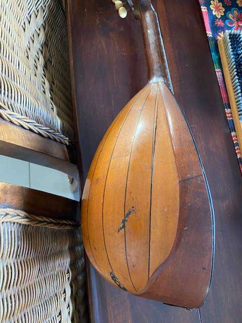 VINTAGE BOWL-BACK MANDOLIN
