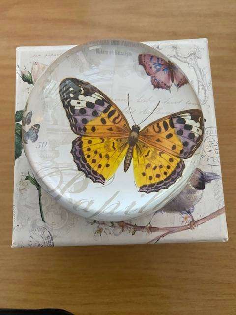 BEAUTIFUL VINTAGE BUTTERFLY GLASS DOME PAPERWEIGHT