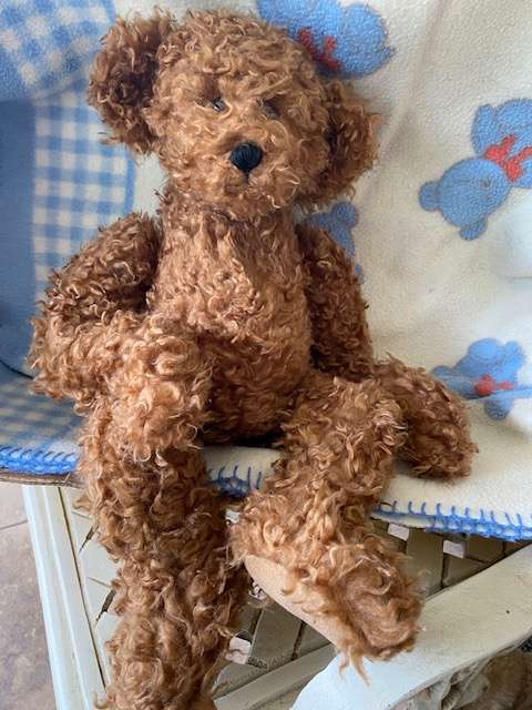 VINTAGE FULLY JOINTED CURLY TEDDY