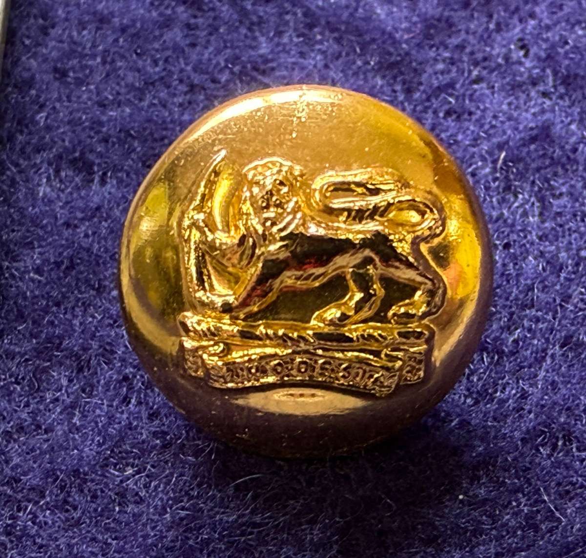 Rhodesian Buttons - General Army (1 Button)