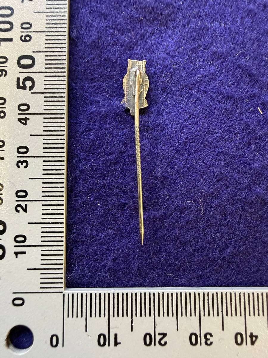 SADF - Military Intelligence Blazer Pin
