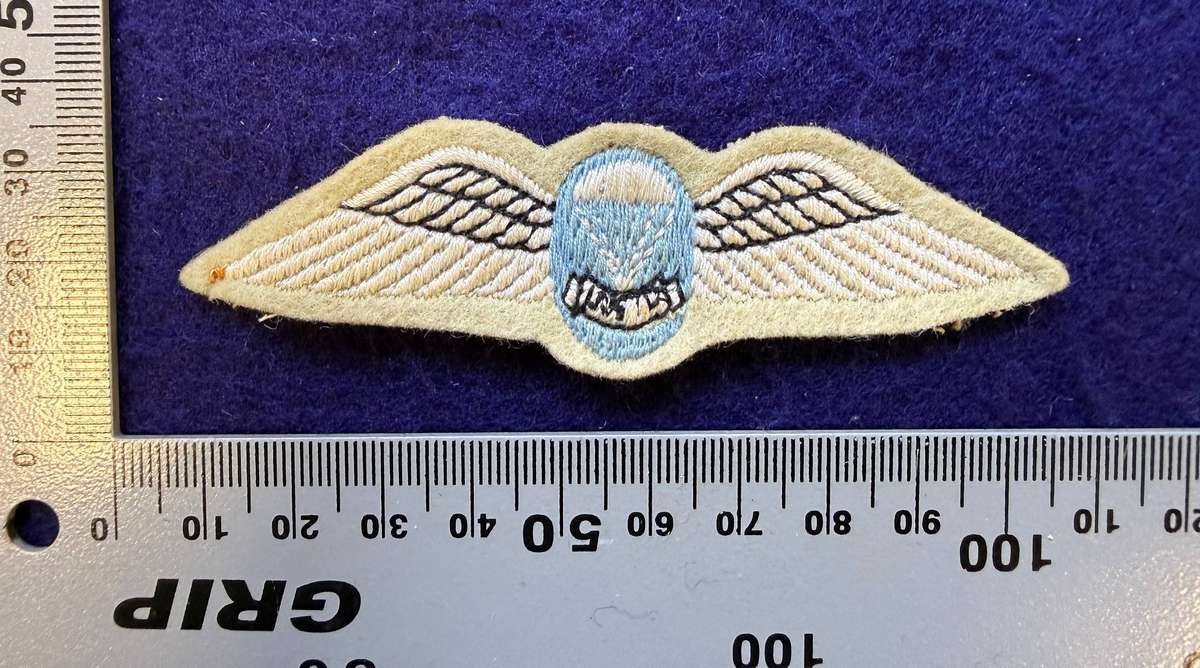 SADF - Parachute Regiment - Wing (Variation Issue)