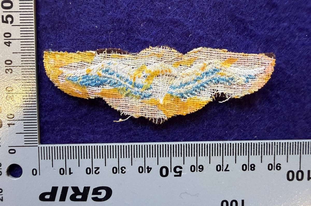 SADF - Parachute Regiment - Wing (Variation Issue)