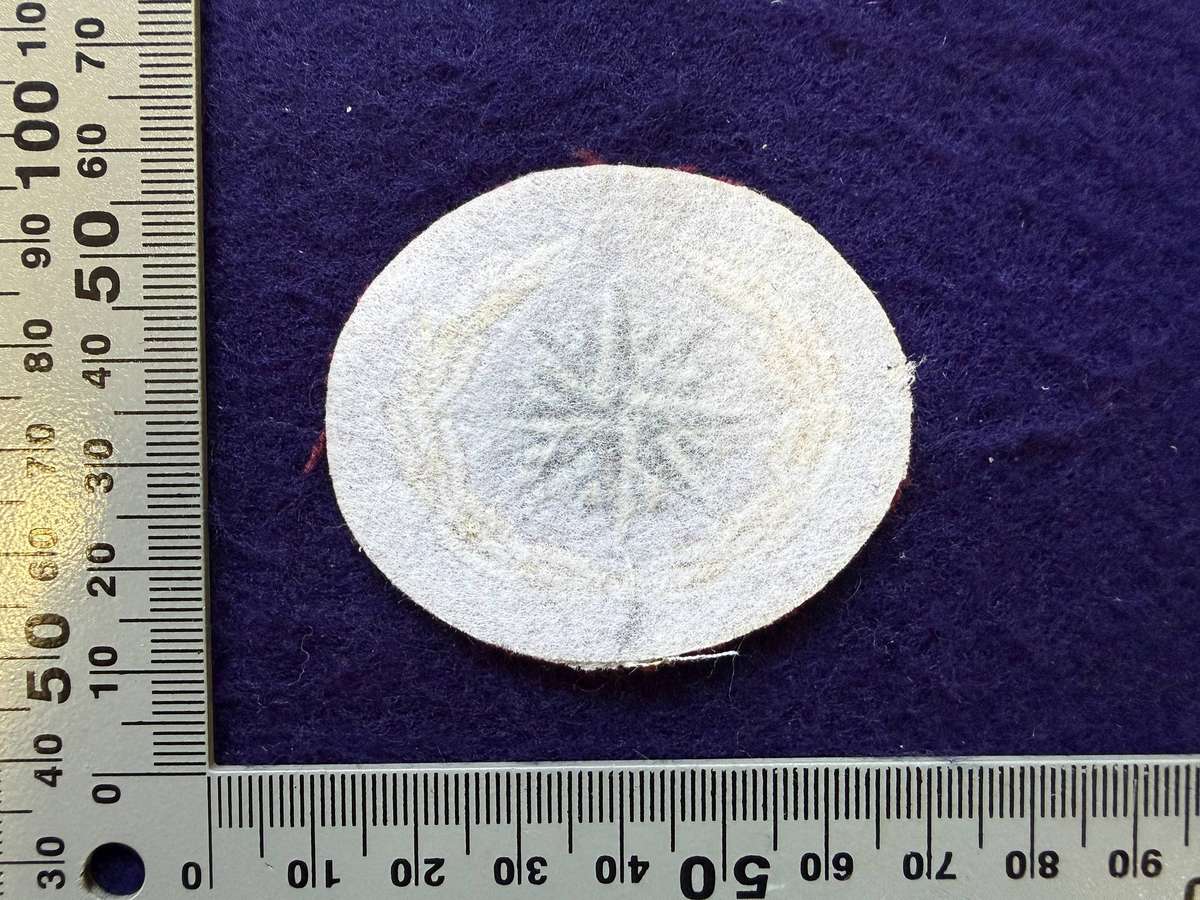 SADF/SA ARMY - RECCE Reconnaissance Regiment/SF Regiment - Beret Badge (Issue Variant)