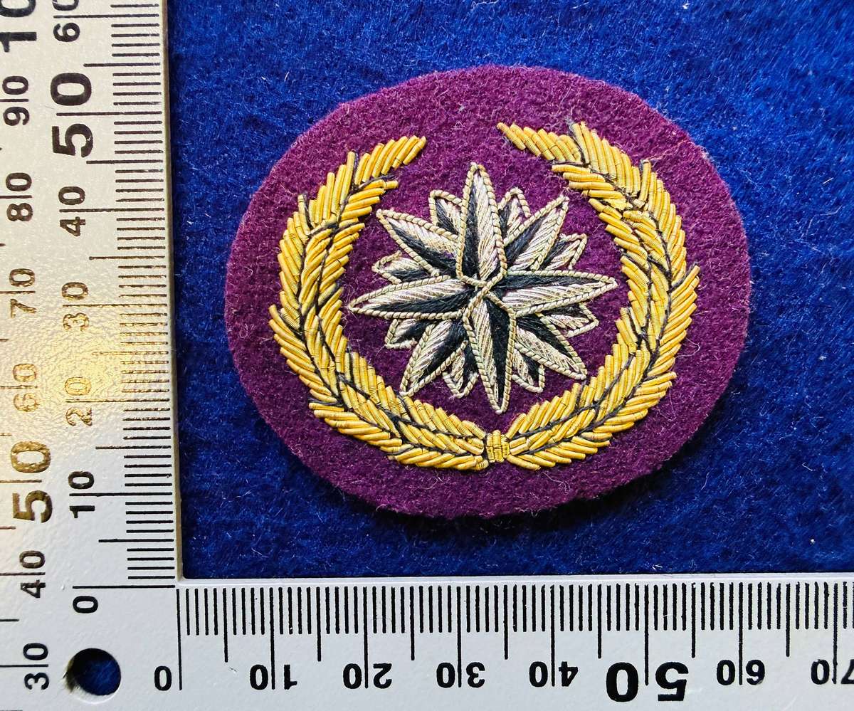 SADF/SA ARMY - RECCE Reconnaissance Regiment/SF Regiment - Beret Badge (Private Bullion Wire Issue )