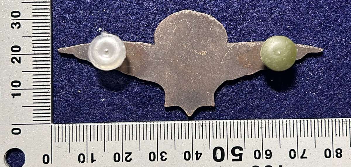 South African Civil Aviation - SAPS WINGS