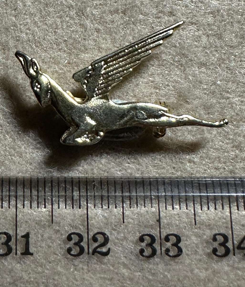 South African Civil Aviation - SAA FLYING SPRINGBOK