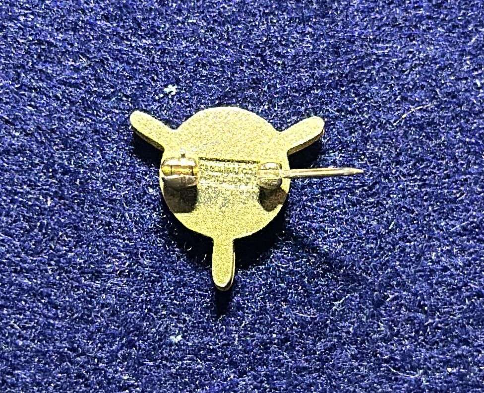 South African Civil Aviation - TWA PIN