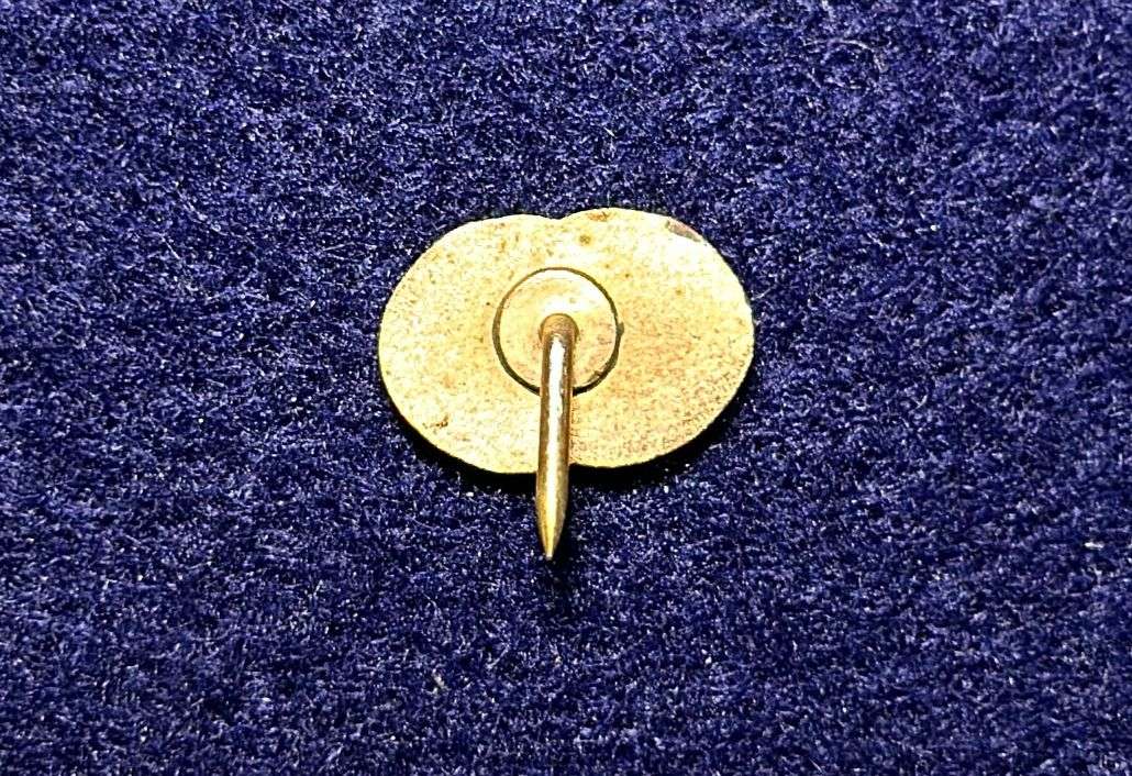 South African Civil Aviation - TWA PIN