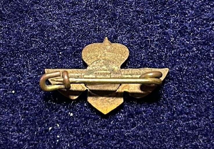 South African Civil Aviation - KLM PIN