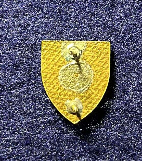 SA ARMY - ARMOUR SCHOOL PIN