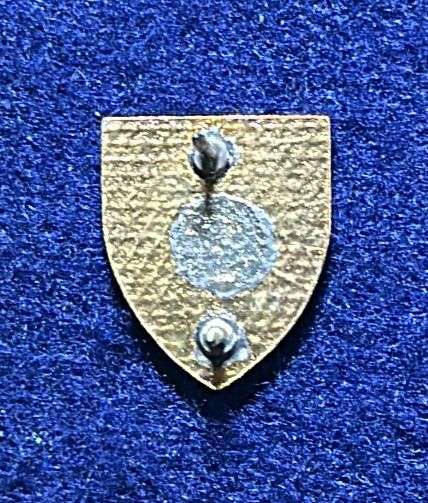 SA ARMY - ARMOUR SCHOOL PIN - VARIATION