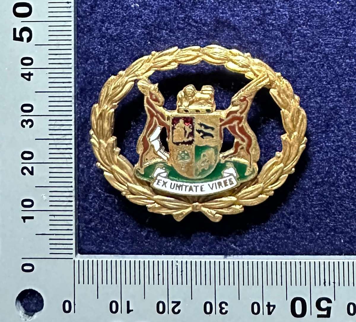SAP WARRANT OFFICER METAL RANK