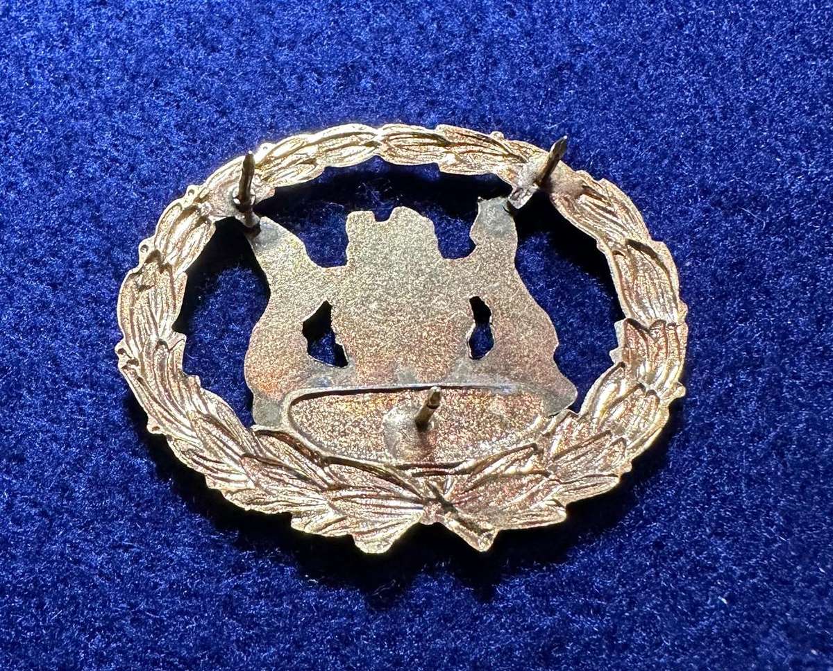 SAP WARRANT OFFICER METAL RANK