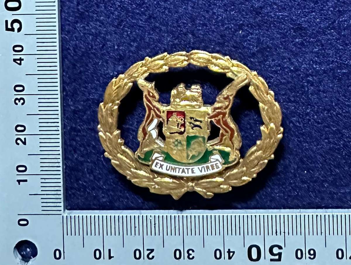 SAP WARRANT OFFICER METAL RANK