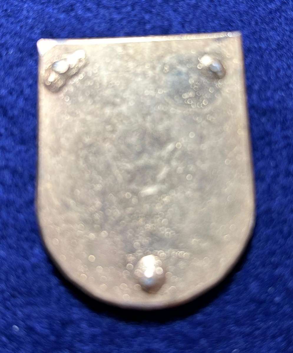 SAP TASKFORCE FLASHES (no pins) - veterans organisation manufactured