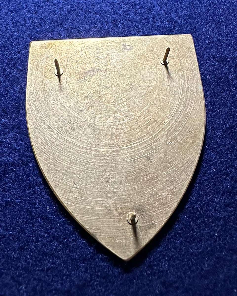 SAP STATE PRESIDENTS GUARD FLASH