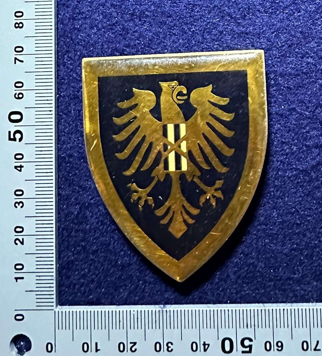 SAP STATE PRESIDENTS GUARD FLASH