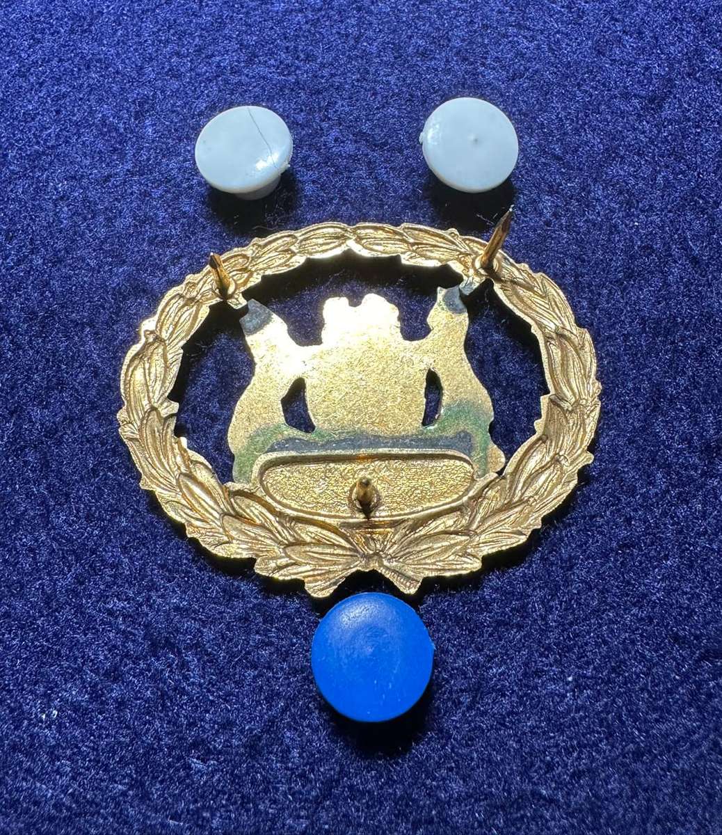 SAP WARRANT OFFICER METAL RANK