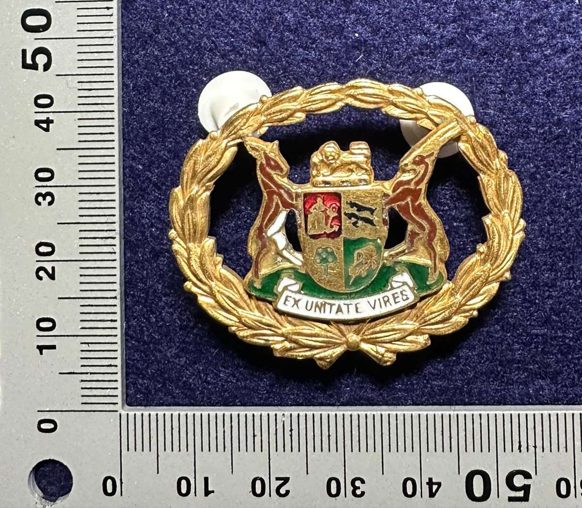 SAP WARRANT OFFICER METAL RANK