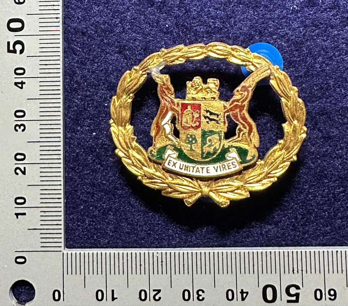 SAP WARRANT OFFICER METAL RANK