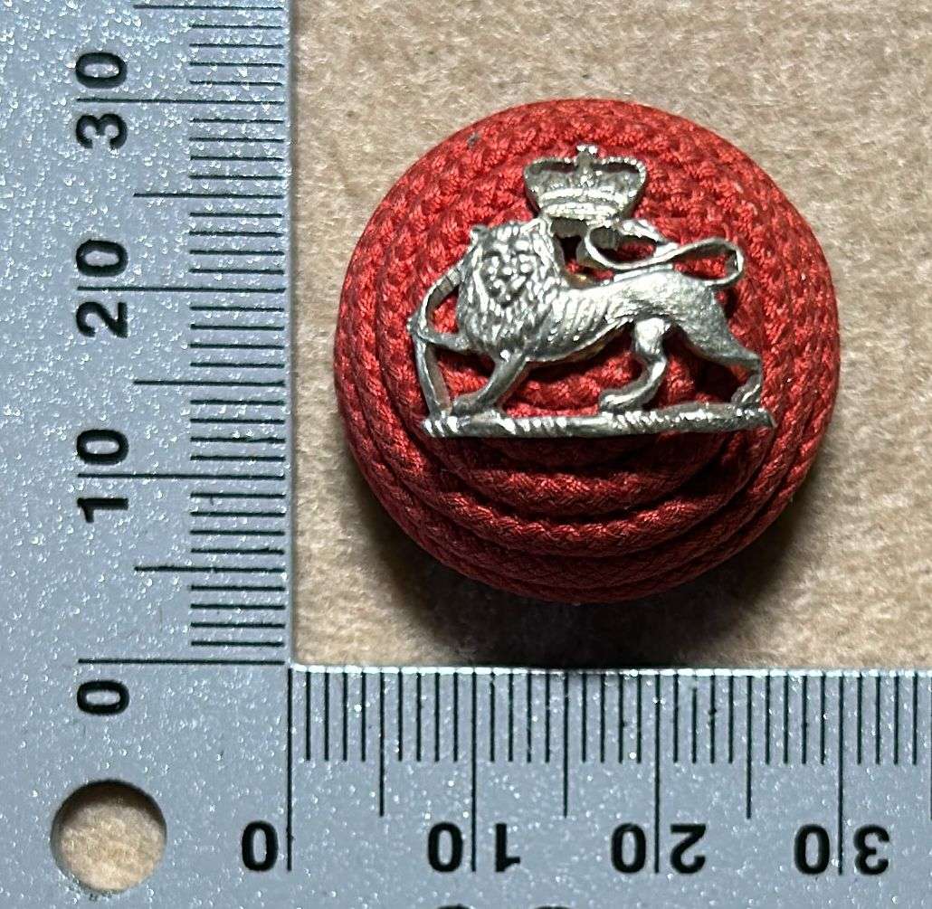 RHODESIA REGIMENT - OFFICERS BOSS BERET BADGE WITH SILVER LIONS