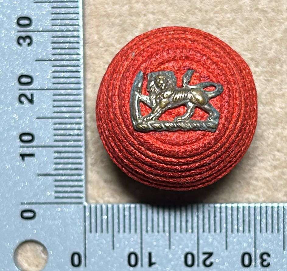 RHODESIA REGIMENT - OFFICERS BOSS BERET BADGE WITH SILVER LIONS