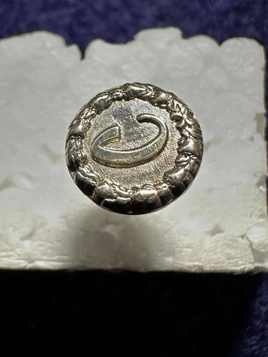 SADF Pro-Patria Medal and Cunene Blazer Pin - Fullsize - No 337313