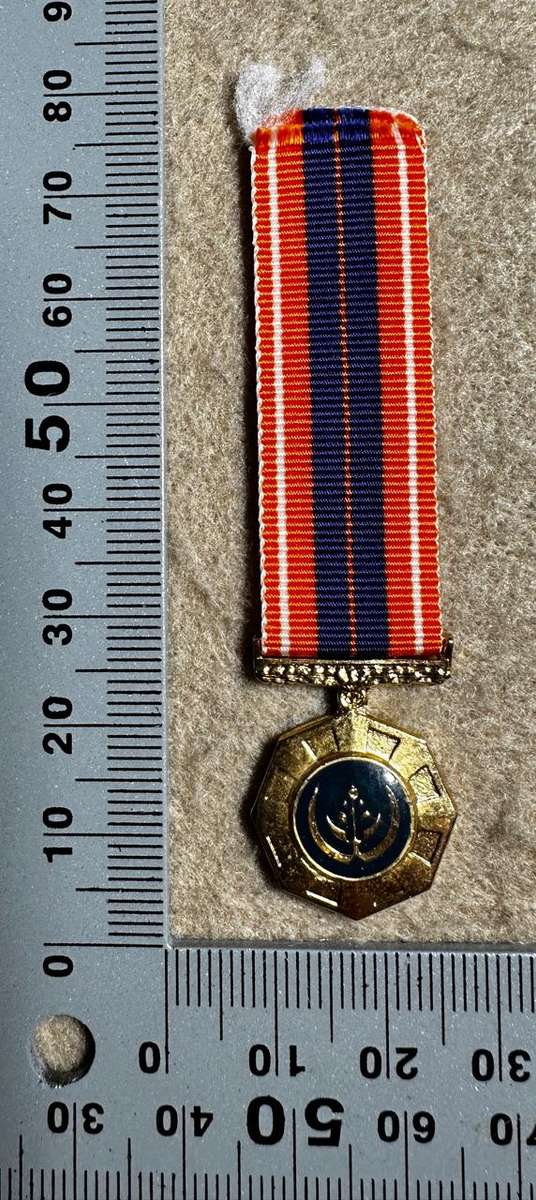 SA Military Decorations & Medals - Pro Patria Medal - Miniature