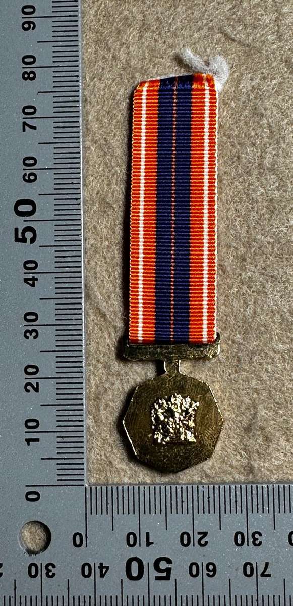 SA Military Decorations & Medals - Pro Patria Medal - Miniature