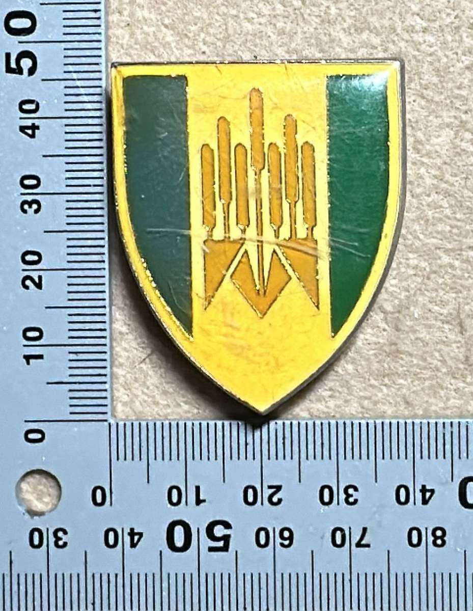SWA 101 Battalion Emblem Flash/FOB