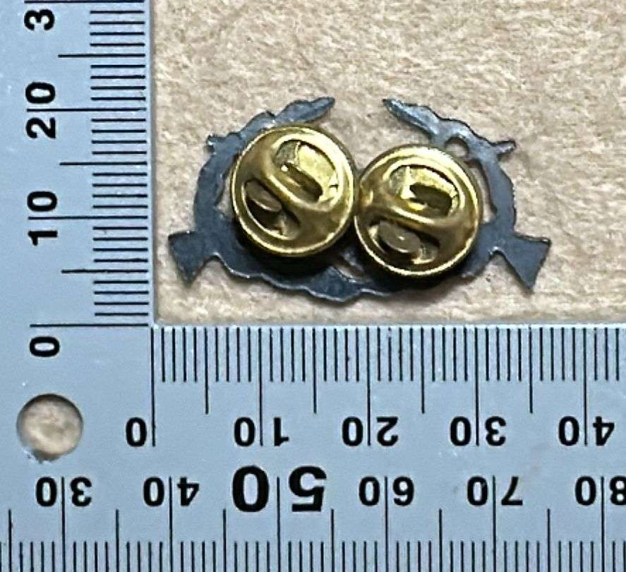 SWA Sharpshooter Qualification Badge - Metal