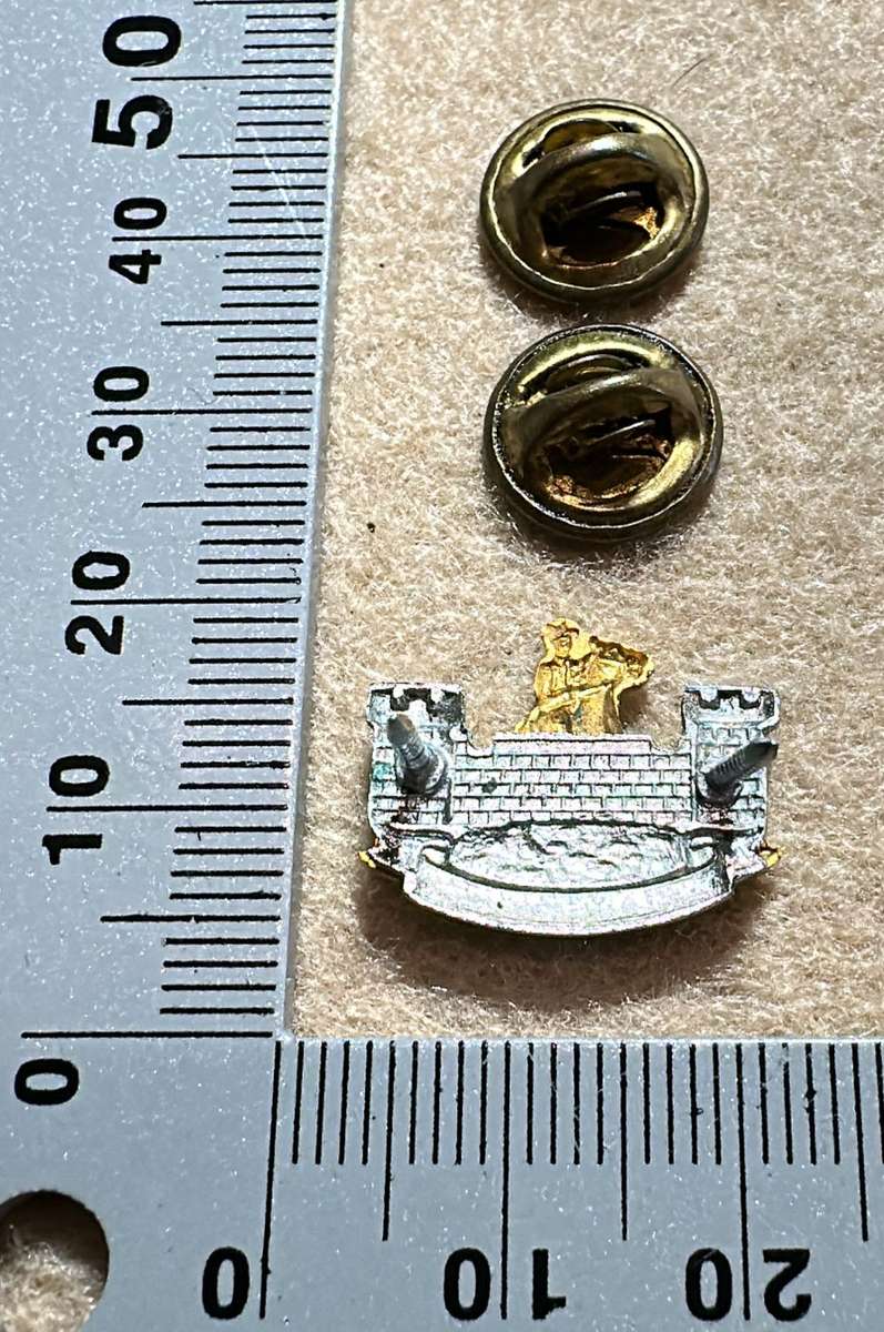 SWATF Regiment Namatoni Collar Badge - Left Facing
