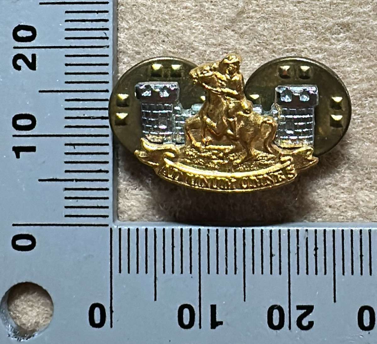 SWATF Regiment Namatoni Collar Badge - Left Facing