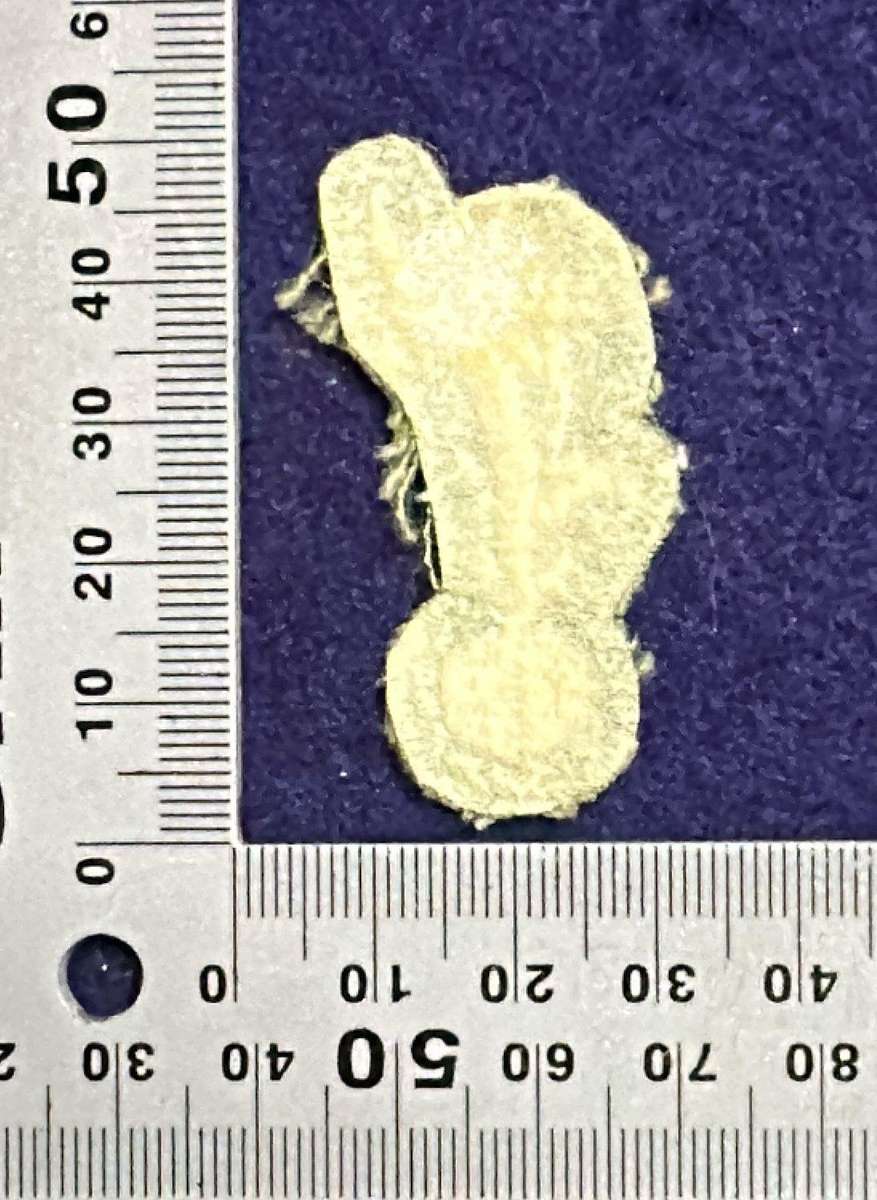 Rhodesian Army - Proficiency Badge - Signals Sergeants - Field uniform - 1960 to 1980