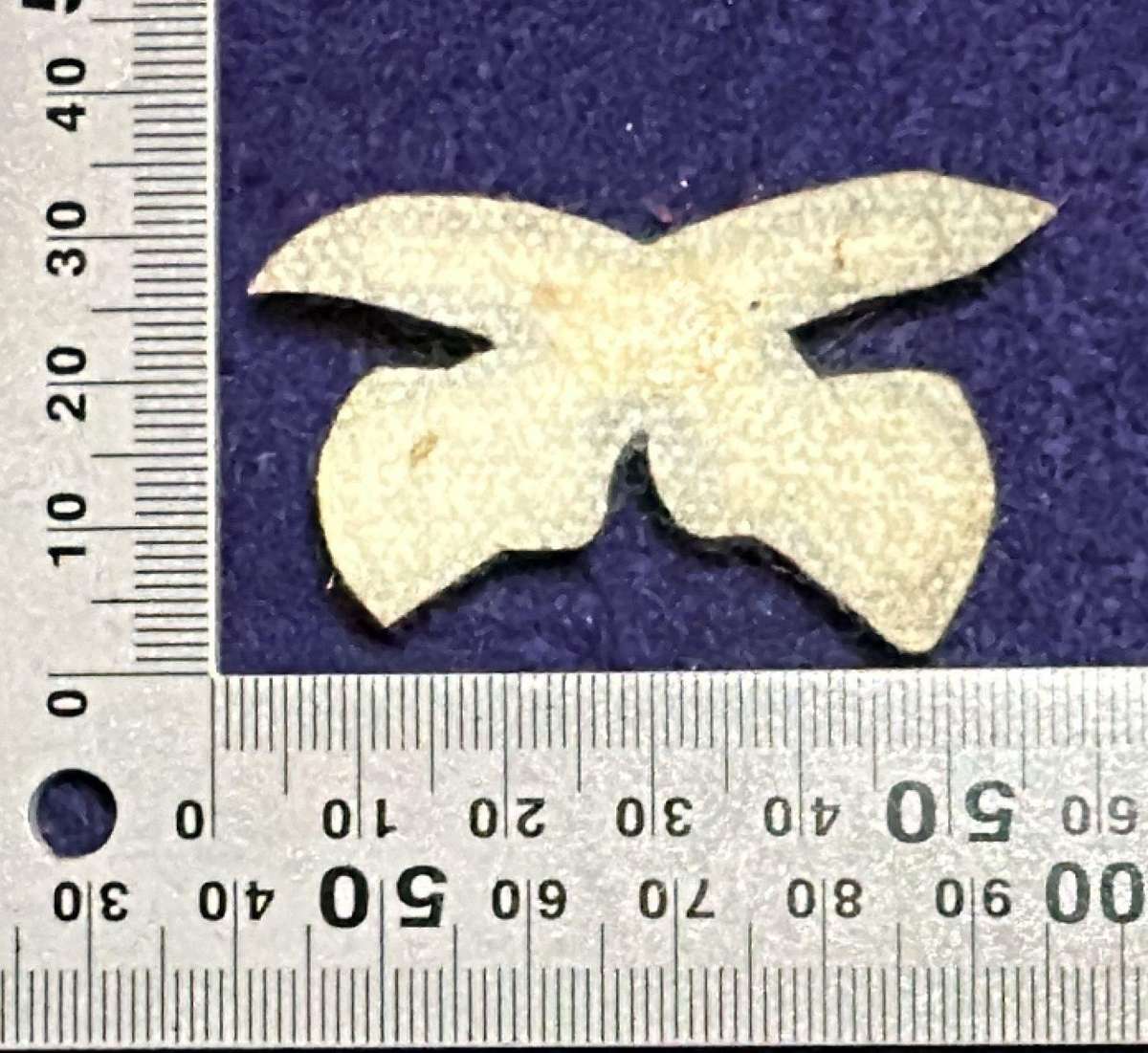 Rhodesian Army - Proficiency Badge - PTI Instructor - Tartan Green Uniform - 1970 to 1980