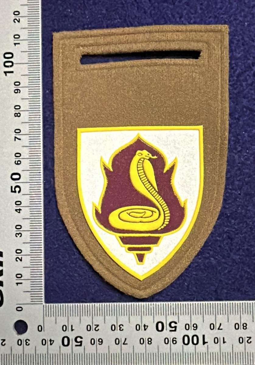 SA ARMY - SAMS Training College - OPS Medic Instructor - Tupper Flash - Right Facing