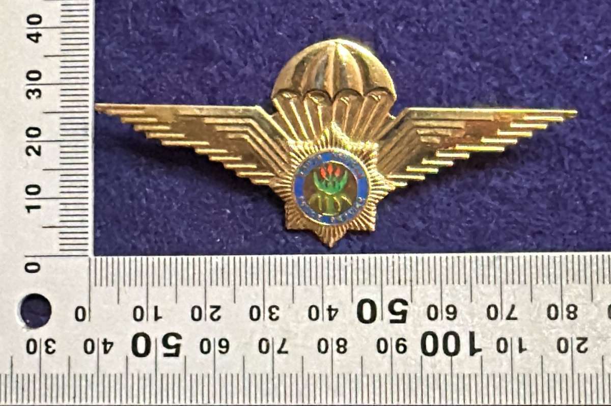 SAP - Taskforce Para Qualification Badge - Metal - 2 pins