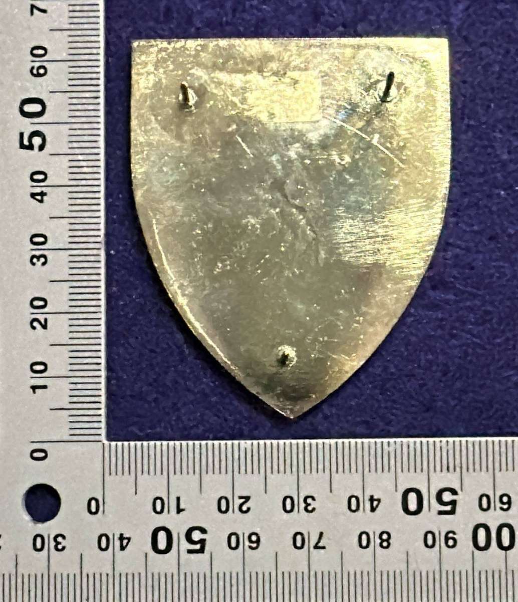 SADF - 1 Parachute Battalion Flash - Right Facing - 3 pins