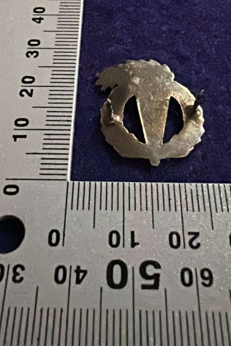 SA ARMY - Chrome Pathfinders Qualification Badge