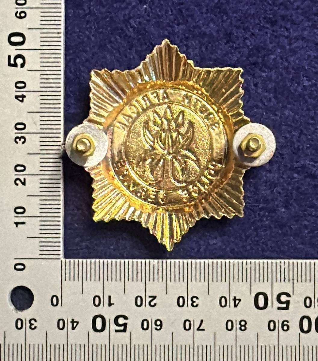 SAP Beret Badge Metal - Complete with 2 lugs and Screws