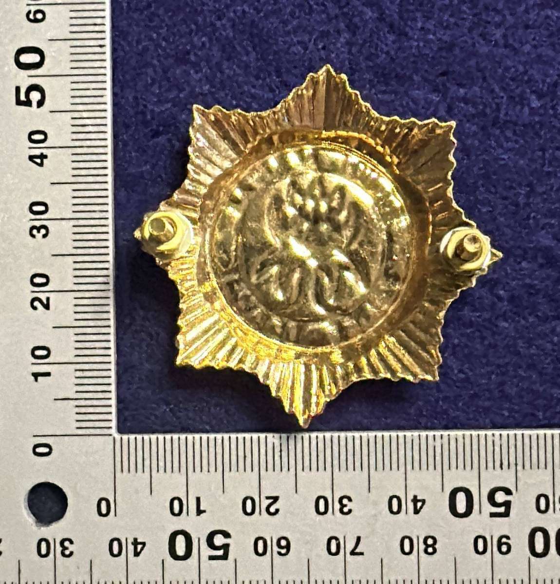 SAP Beret Badge Metal - Complete with 2 lugs and Screws