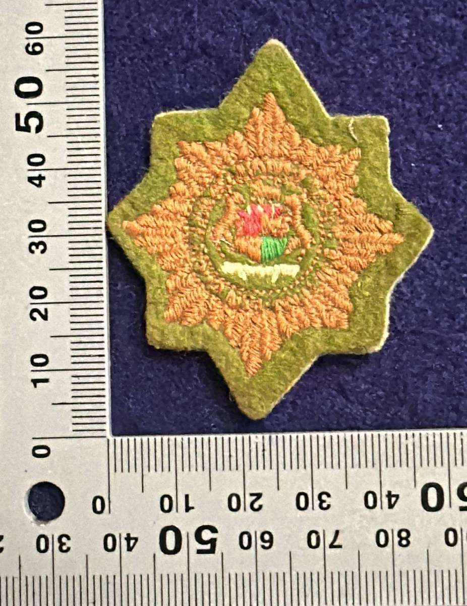 SAP - Beret / Cap Badge - EMBROIDERED - Variant