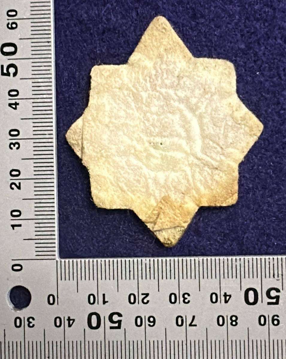 SAP - Beret / Cap Badge - EMBROIDERED - Variant