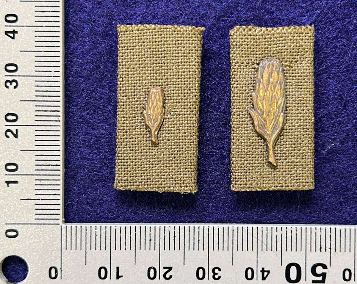 Pair of South African King Protea emblems, full-size and miniature, for the Kings Commendation